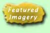 Featured Imagery