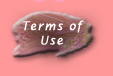 Terms of Use